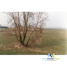 Byland 1984 Coll. HKR F00000122